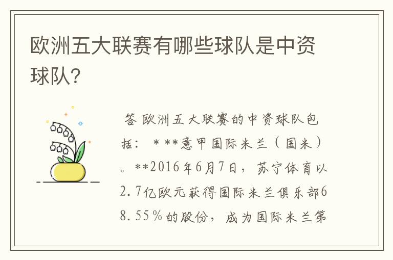 欧洲五大联赛有哪些球队是中资球队?