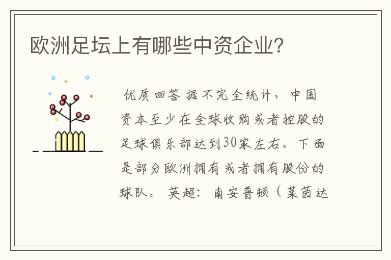 欧洲足坛上有哪些中资企业?