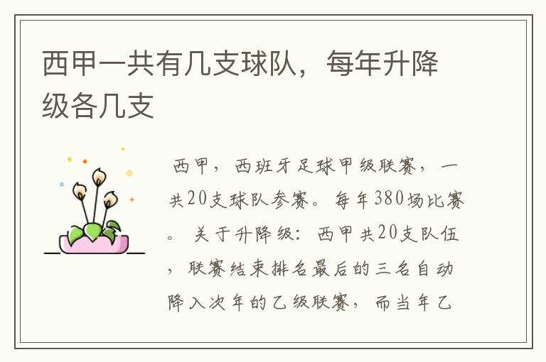 西甲一共有几支球队,每年升降级各几支