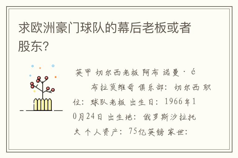 求欧洲豪门球队的幕后老板或者股东?