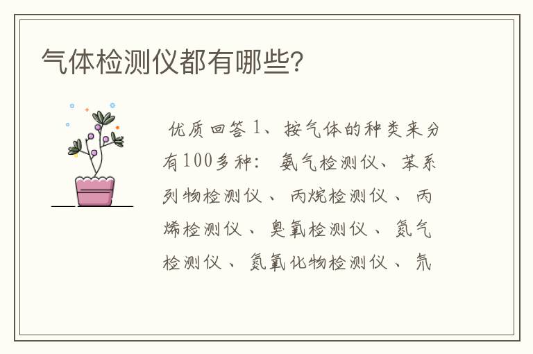 气体检测仪都有哪些?