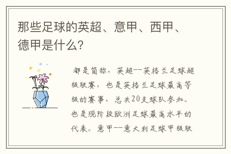 那些足球的英超、意甲、西甲、德甲是什么?