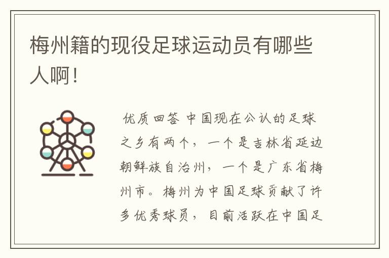梅州籍的现役足球运动员有哪些人啊!