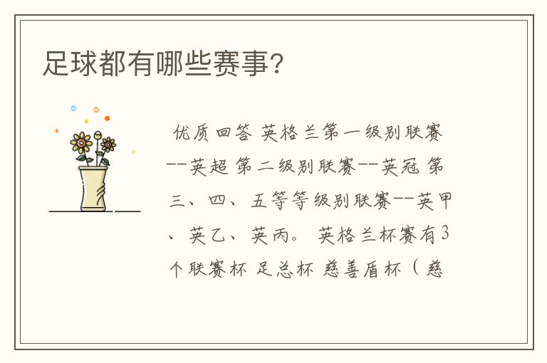 足球都有哪些赛事?