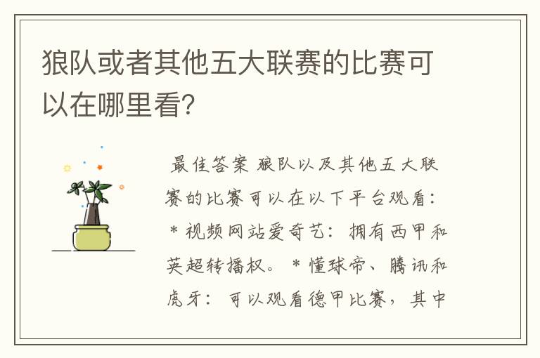 狼队或者其他五大联赛的比赛可以在哪里看?