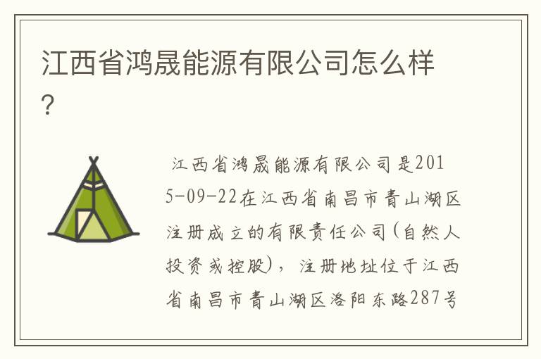 江西省鸿晟能源有限公司怎么样?