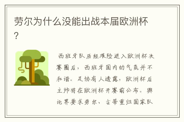 劳尔为什么没能出战本届欧洲杯?