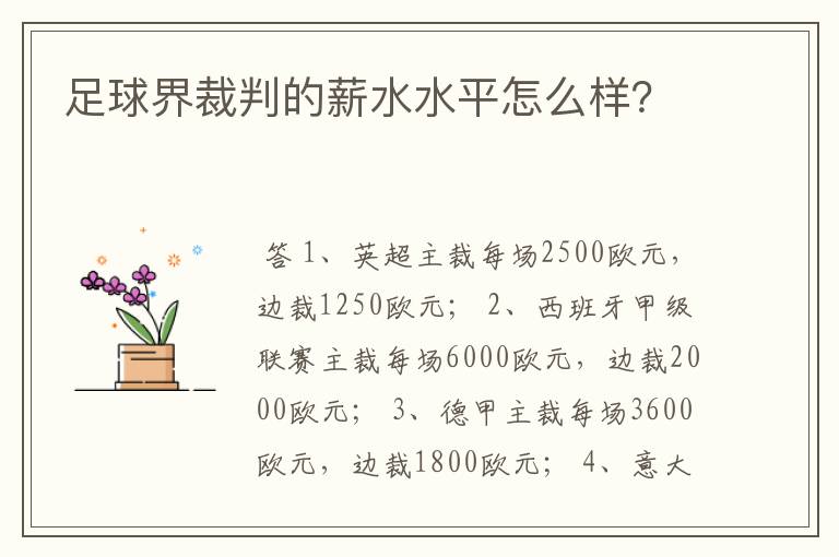 足球界裁判的薪水水平怎么样?