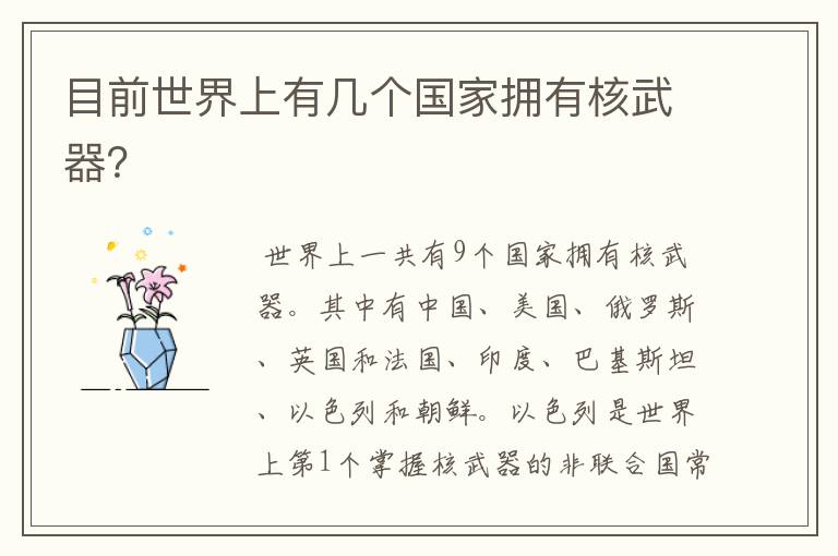 目前世界上有几个国家拥有核武器?