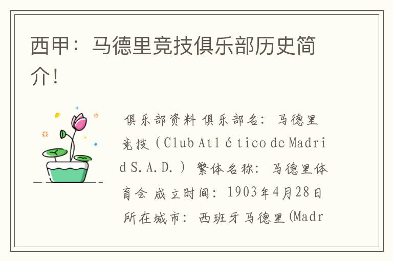 西甲:马德里竞技俱乐部历史简介!