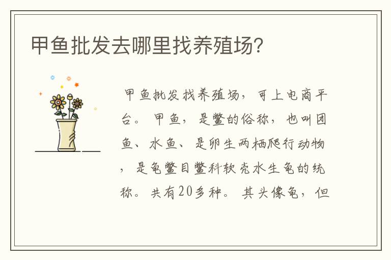 甲鱼批发去哪里找养殖场?