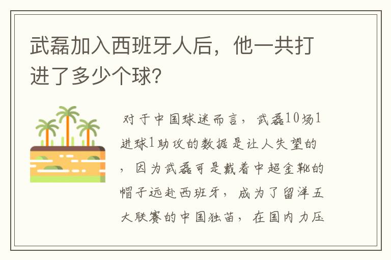 武磊加入西班牙人后,他一共打进了多少个球?