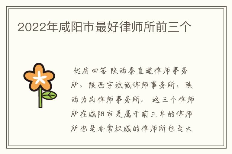 2022年咸阳市最好律师所前三个