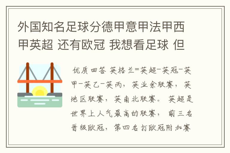 外国知名足球分德甲意甲法甲西甲英超 还有欧冠 我想看足球 但不知道怎么分辨他们怎么进行比赛的