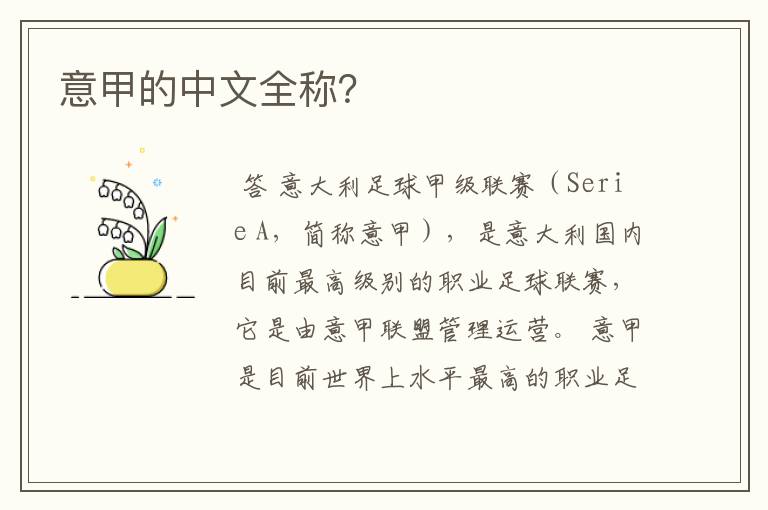 意甲的中文全称?