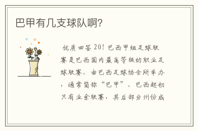 巴甲有几支球队啊?