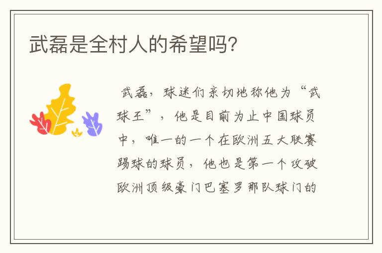 武磊是全村人的希望吗?