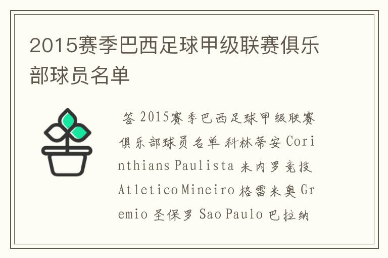 2015赛季巴西足球甲级联赛俱乐部球员名单