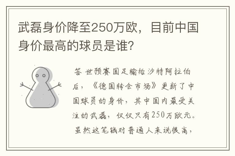 武磊身价降至250万欧,目前中国身价最高的球员是谁?