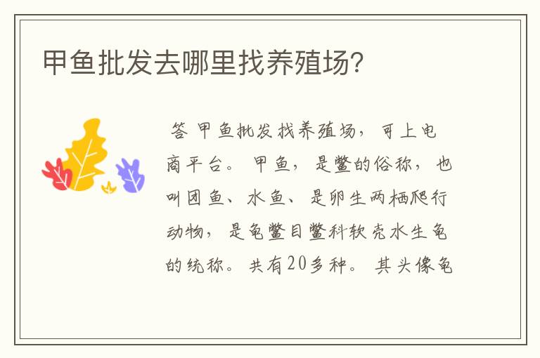 甲鱼批发去哪里找养殖场?