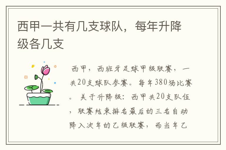 西甲一共有几支球队,每年升降级各几支