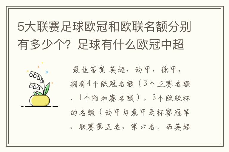 5大联赛足球欧冠和欧联名额分别有多少个?足球有什么欧冠中超还