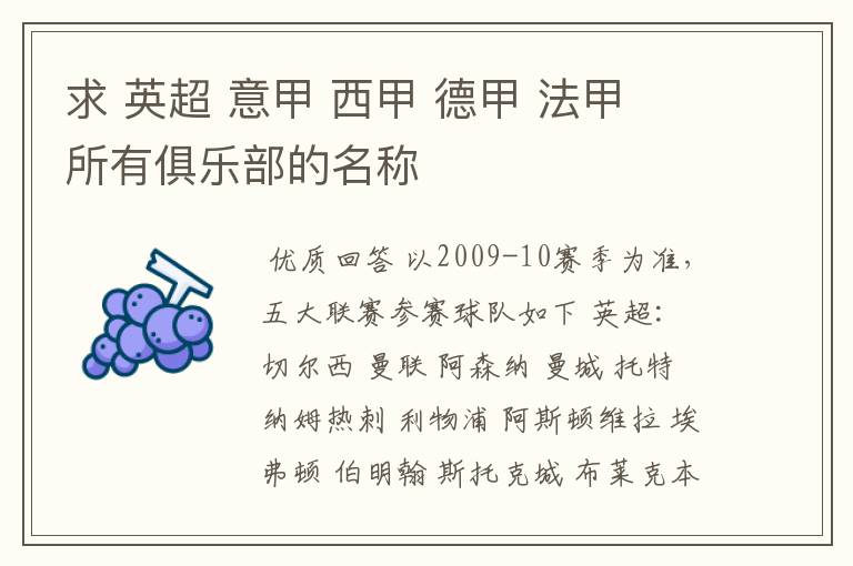 求 英超 意甲 西甲 德甲 法甲 所有俱乐部的名称
