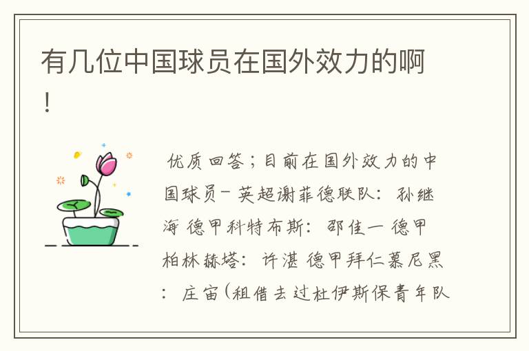 有几位中国球员在国外效力的啊!