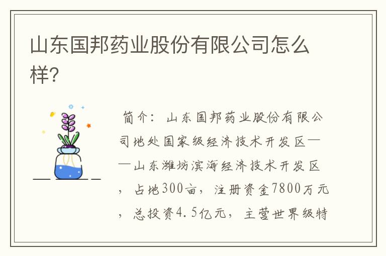 山东国邦药业股份有限公司怎么样?