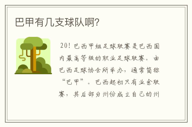 巴甲有几支球队啊?