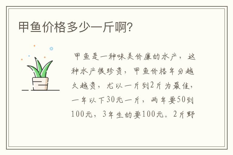 甲鱼价格多少一斤啊?