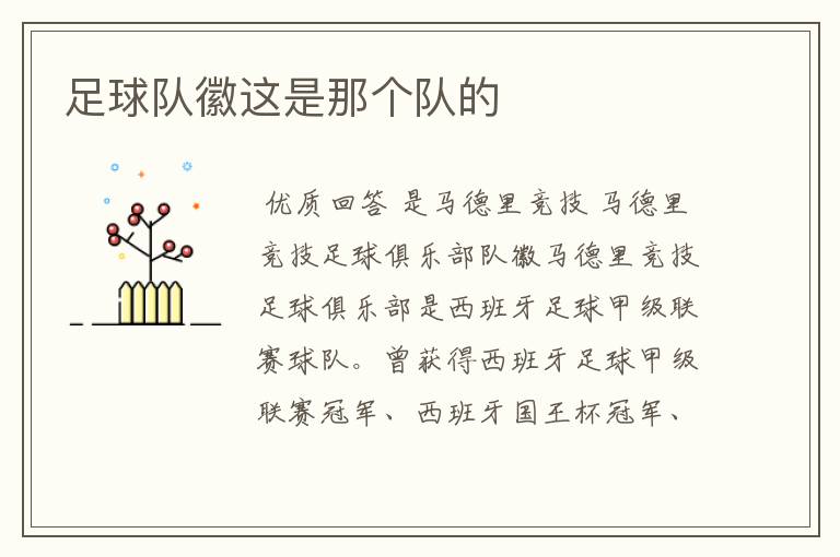 足球队徽这是那个队的