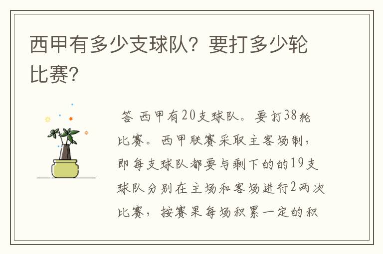 西甲有多少支球队?要打多少轮比赛?