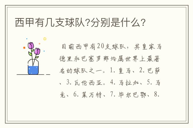 西甲有几支球队?分别是什么?