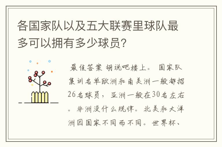 各国家队以及五大联赛里球队最多可以拥有多少球员?