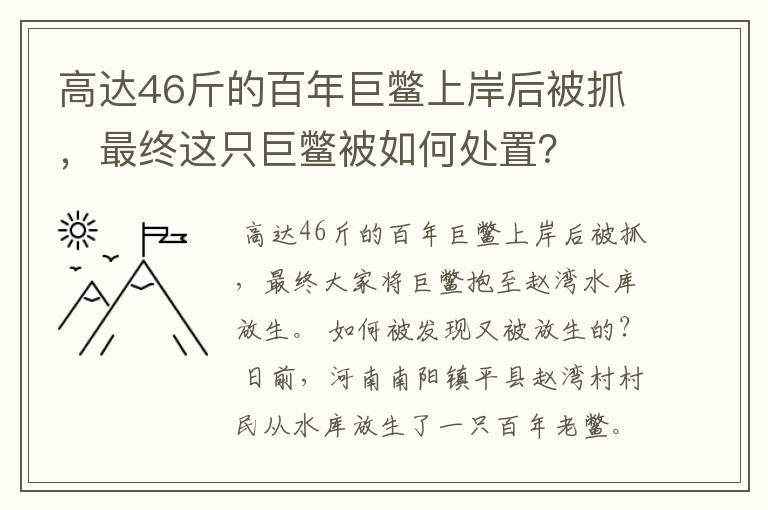 高达46斤的百年巨鳖上岸后被抓,最终这只巨鳖被如何处置?