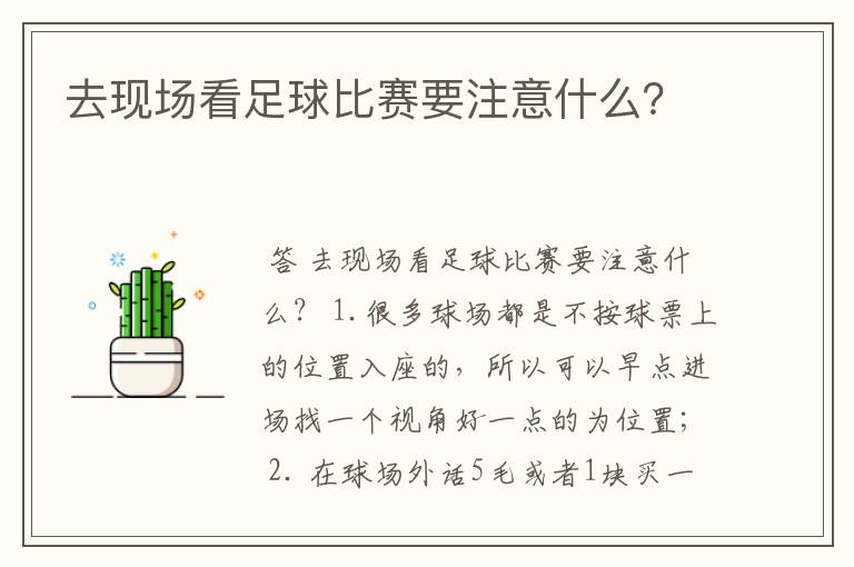 去现场看足球比赛要注意什么?