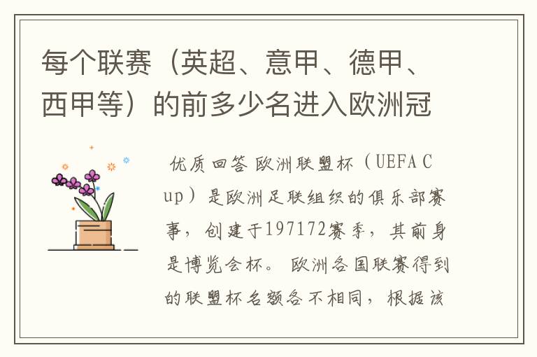 每个联赛(英超、意甲、德甲、西甲等)的前多少名进入欧洲冠军杯?多少名进入欧洲联盟杯?