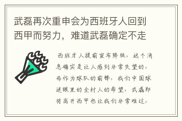 武磊再次重申会为西班牙人回到西甲而努力，难道武磊确定不走了？