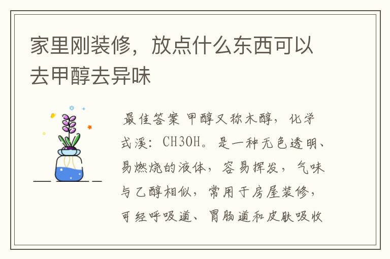 家里刚装修,放点什么东西可以去甲醇去异味