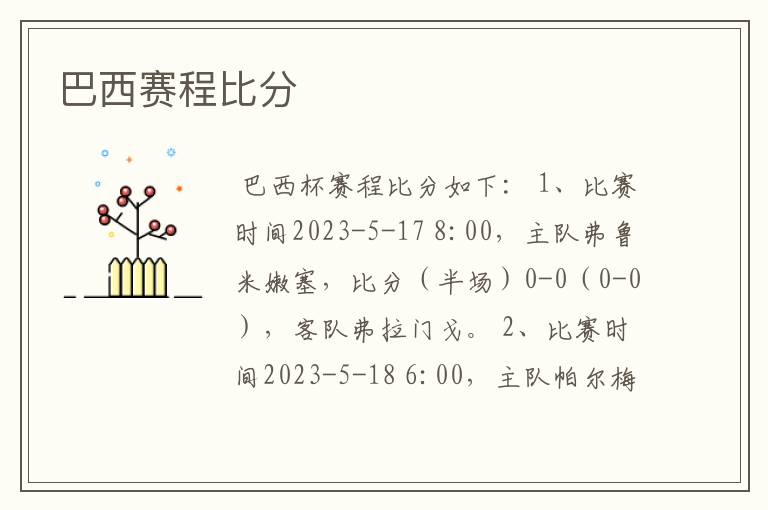 巴西赛程比分