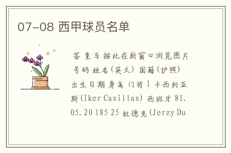 07-08 西甲球员名单