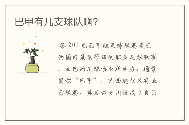 巴甲有几支球队啊?