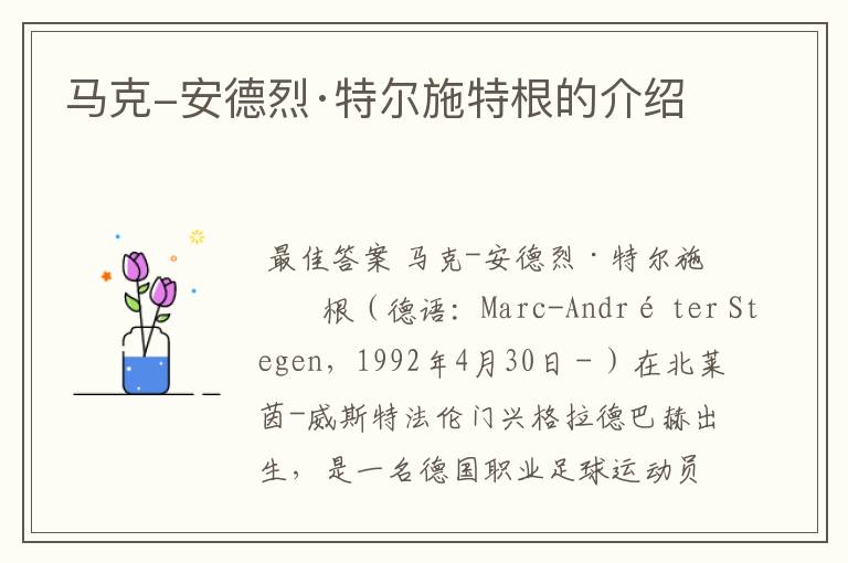 马克-安德烈·特尔施特根的介绍