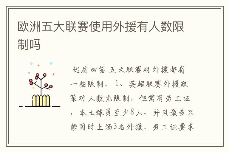 欧洲五大联赛使用外援有人数限制吗