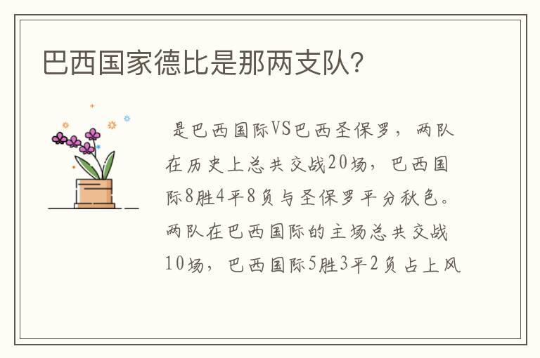 巴西国家德比是那两支队?