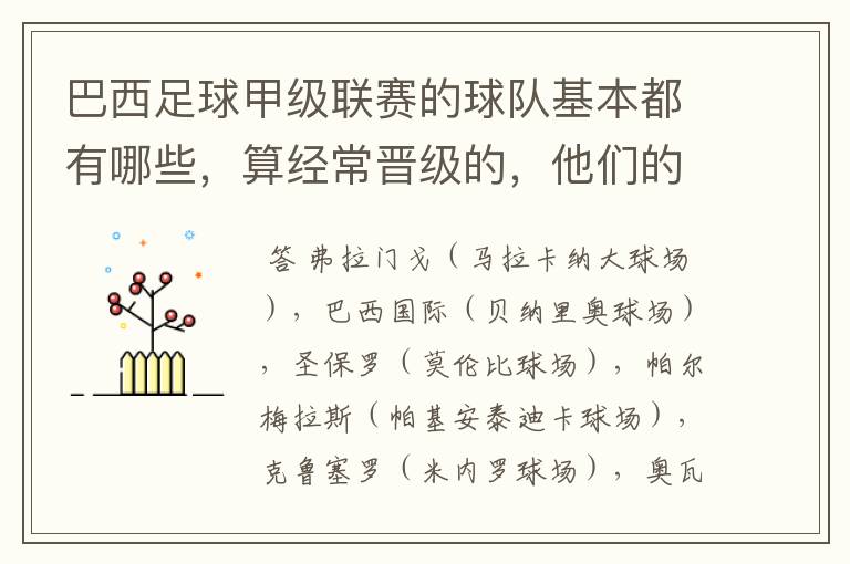 巴西足球甲级联赛的球队基本都有哪些,算经常晋级的,他们的球场都叫什么名
