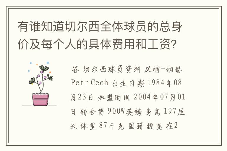 有谁知道切尔西全体球员的总身价及每个人的具体费用和工资?