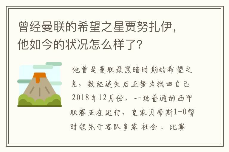曾经曼联的希望之星贾努扎伊,他如今的状况怎么样了?