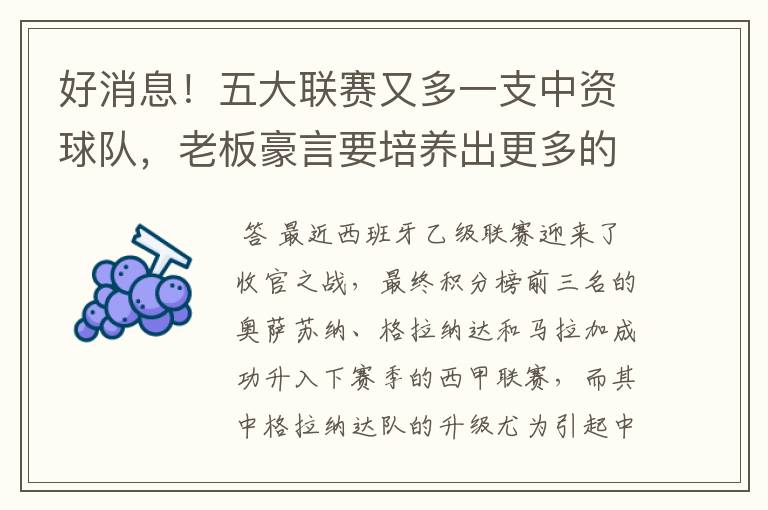 好消息!五大联赛又多一支中资球队,老板豪言要培养出更多的武磊